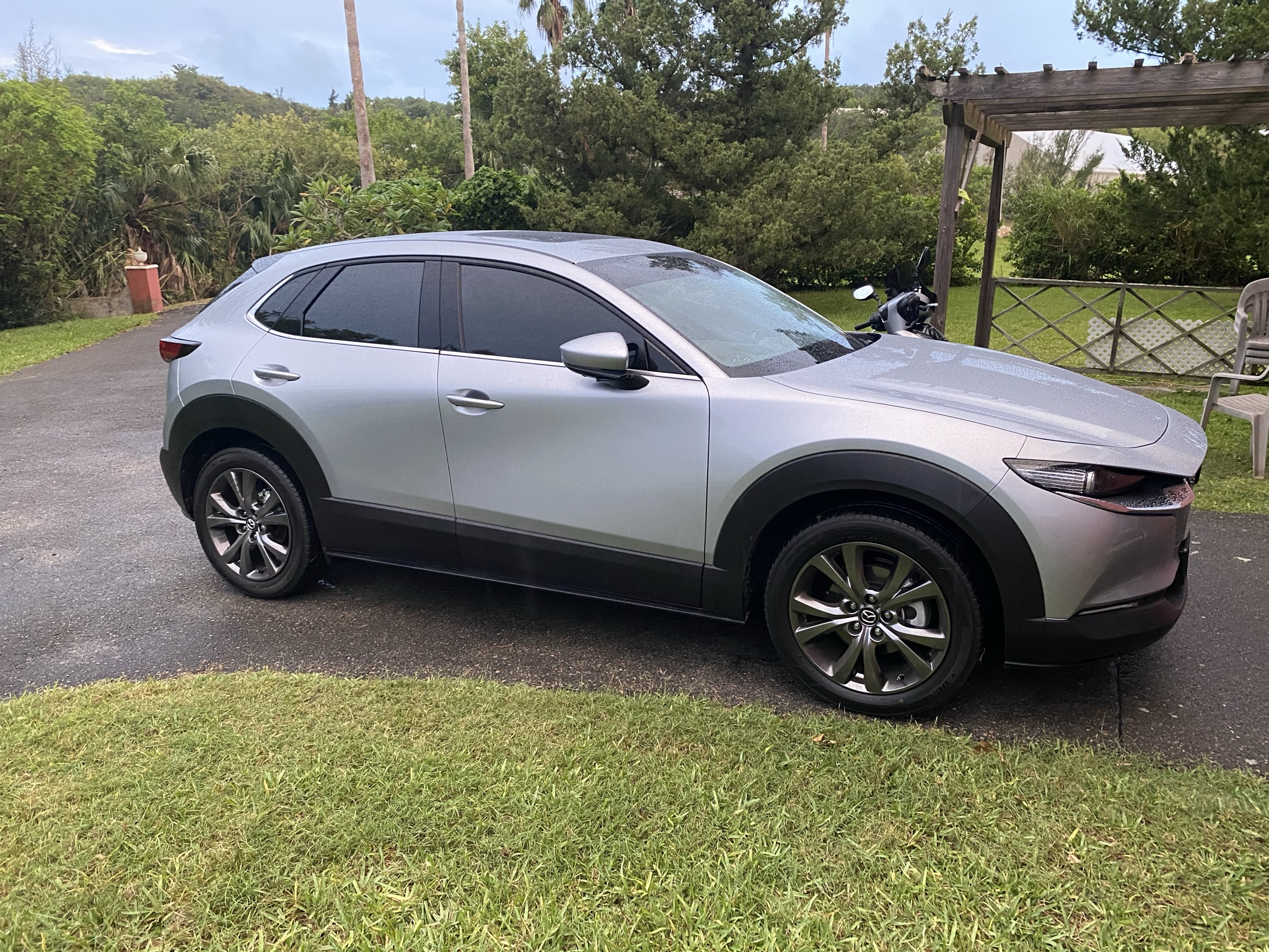 ニワトリシザーコンペックス CX-30 ニワトリシザーコンペックス CX-30（通販 | シバケイ CK-30